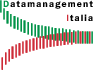 Datamanagement Italia S.p.A. con socio unico